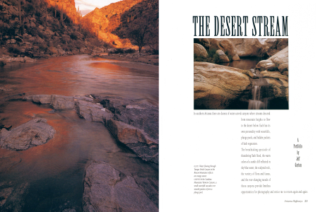 Streams of the Desert