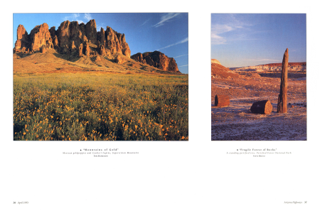 "Mountains of Gold"
Mexican goldpoppies and Coulter's lupine, Superstition Mountains