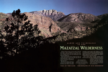 The Mazatzal Wilderness