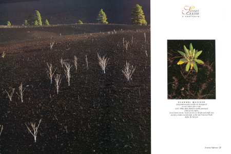 Sunset Crater Volcano