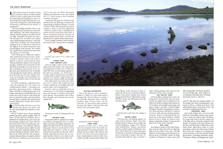 A Summer Guide to the Lakes of the White Mountains