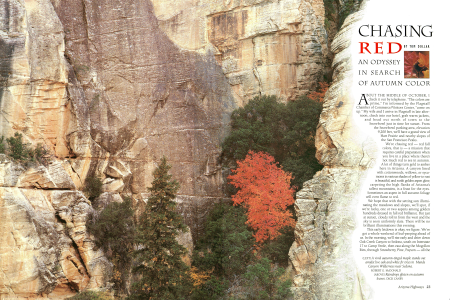 An Autumn Odyssey