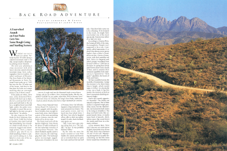 A rough road into the Mazatzals leads to more than a bumpy ride for our trekkers. Here, manzanita bushes, like this one dubbed "Godzilla" by our author, refute their DNA to become "trees."