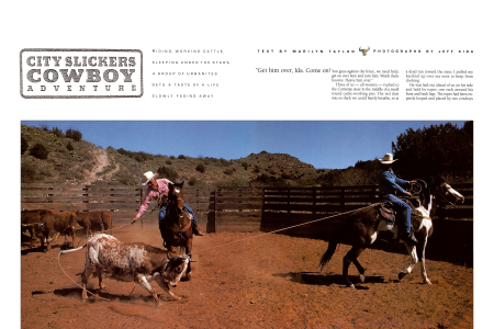 The City Slickers Ride Again