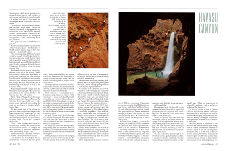 Hikers carefully descend the steep trail down a travertine-coated rock wall to Mooney Falls.