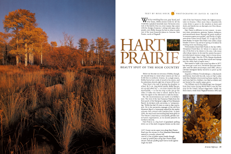 A Pilgrimage to Hart Prairie
