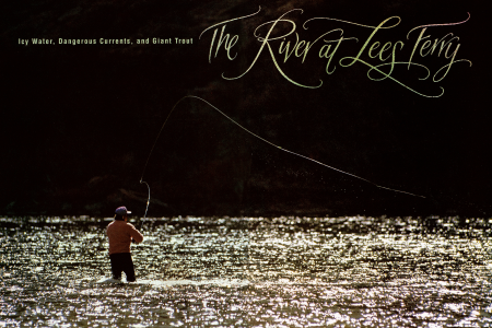 Lees Ferry, a Haven for Humongous Trout