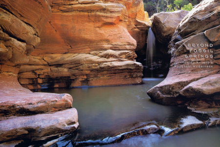 WILDERNESS BUSHWHACKING AT FOSSIL SPRINGS