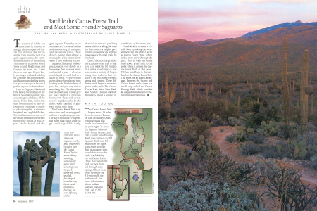 The Cactus Forest Trail begins about 15 miles from downtown Tucson on East Broadway.