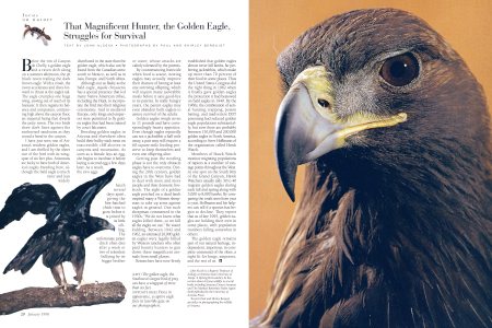 THE GOLDEN EAGLE, MONARCH OF THE WEST