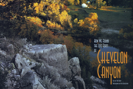 the cover