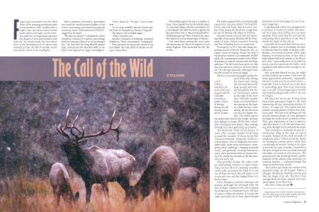 BUGLING FOR ELK