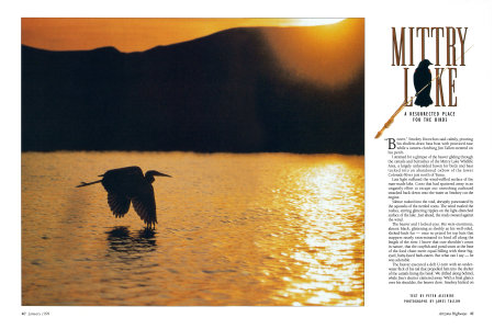MITTRY LAKE, AN UNNATURAL REFUGE