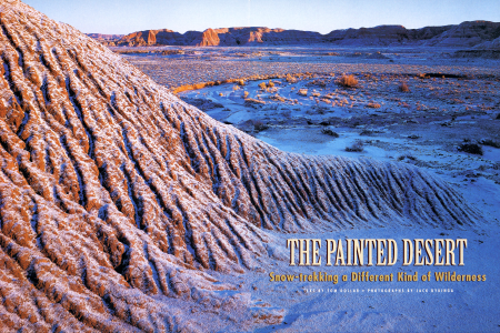 A PAINTED DESERT WINTER BACKPACK