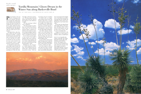 Low-lying like their culinary namesake, the Tortilla Mountains hug the edge of the Gila River east of Florence.