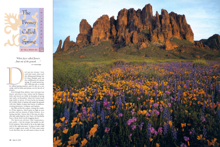 DESERT SPRING, THE TIME OF PLENTY