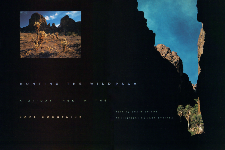 SEARCH FOR THE WILD PALMS OF THE KOFAS