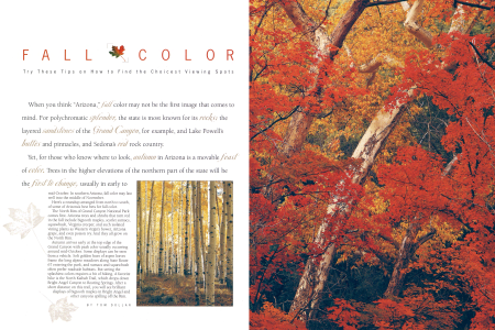 AUTUMN'S GOLD AND CRIMSON