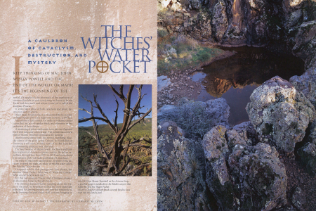 Near Mount Trumbull on the Arizona Strip, a gnarled juniper stands above the hidden canyon that holds the Witches' Water Pocket.