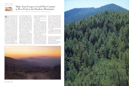 Sunrise illuminates the magnificent view along the road to 8,700-foot West Peak in the Pinaleno Mountains.