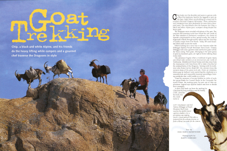 GOAT TREKKING