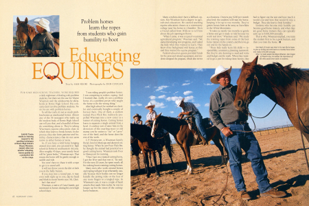 Lessons for Horses and Teens