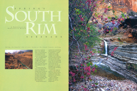 Spring at the South Rim