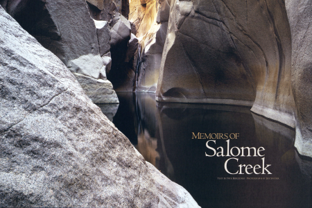Memories of Salome Creek