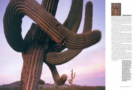Bumper Crop of Cacti