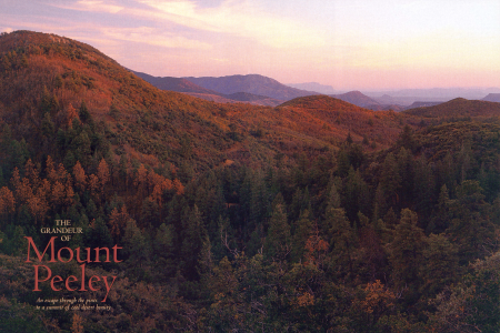 An escape through the pines to a summit of cool desert beauty