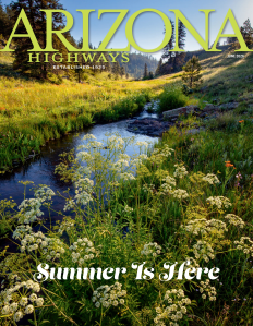 ARIZONA HIGHWAYS 1976年 1年分 アリゾナ 雑誌 アメリカ ARIZONA HIGHWAYS 1976年 1年分 アリゾナ 雑誌 アメリカの通販はau PAY