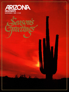 ARIZONA HIGHWAYS 1983年 11冊 アリゾナハイウェイ 洋書 ARIZONA HIGHWAYS 1983年 11冊 アリゾナハイウェイ 洋書 ARIZONA
