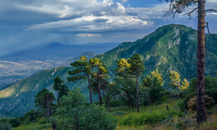 A storm looms over Miller Peak in another view from the Carr Peak Trail.