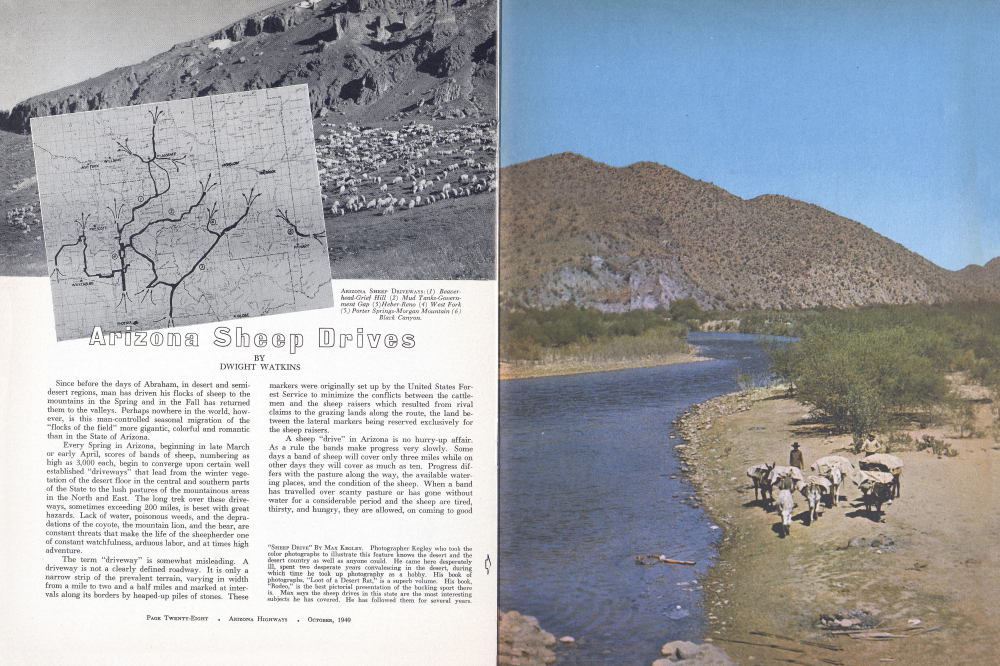 Beaverhead Spring ARIZONA'S SHEEP DRIVES | Arizona Highways