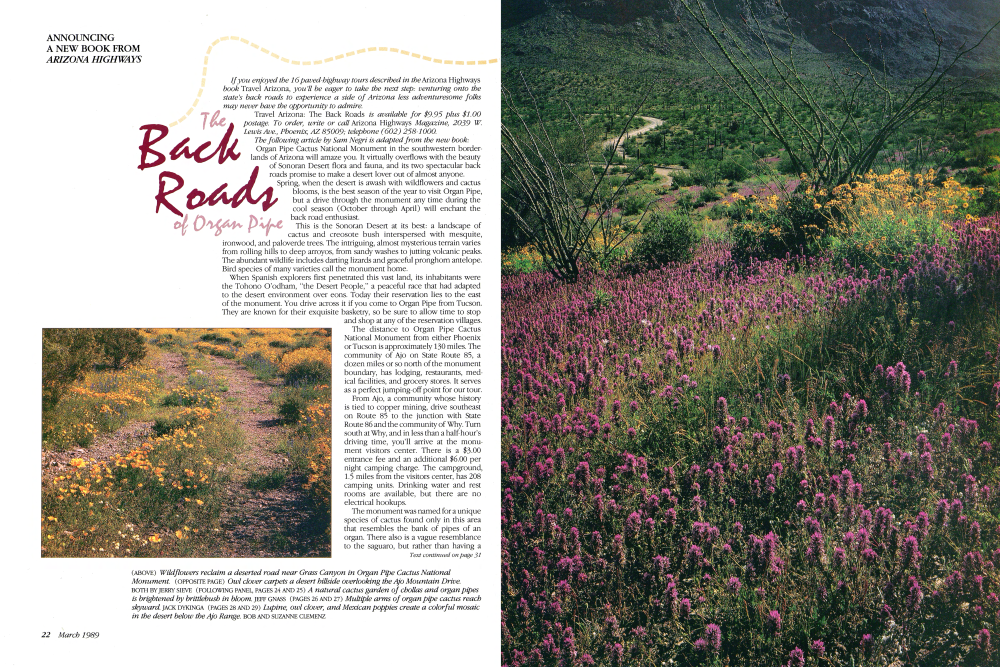 Wildflowers reclaim a deserted road near Grass Canyon in Organ Pipe Cactus National Monument.