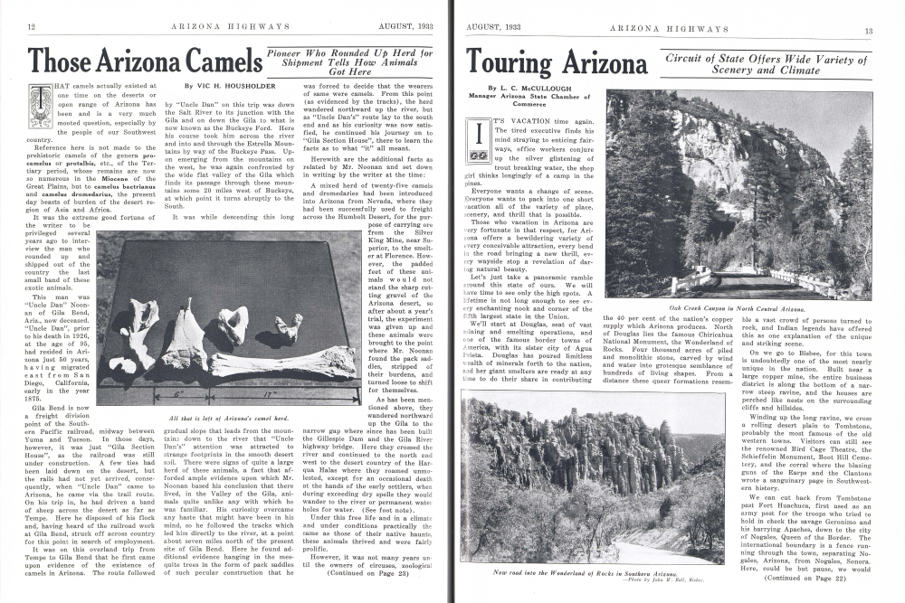 All that is left of Arizona's camel herd.