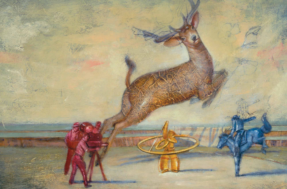 Grand Canyon Deer Drive Was Doomed at the Start