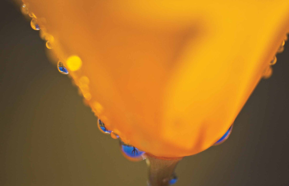 PAUL GILL, GEORGE STOCKING