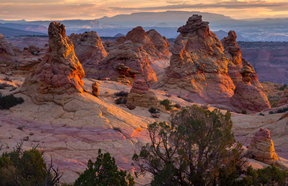 NOAH AUSTIN, KAYLA FROST, KATHY MONTGOMERY, KATHY RITCHIE AND ROBERT STIEVE