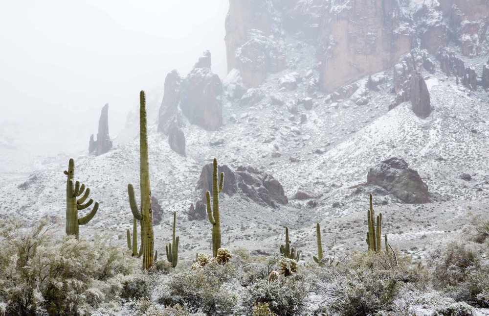 A STORM IN THE DESERT