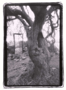 Searching for Ghosts in the Dark of Night