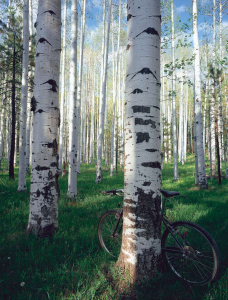 Modern Bicyclists Retrace an 1897 Route
