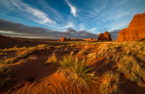 OUR PHOTOGRAPHERS REALLY CLICK