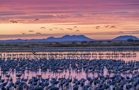 JACK HEADED SOUTH FOR THE ANNUAL WINGDING