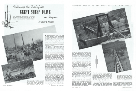 Following the Trail of the Great Sheep Drive in Arizona