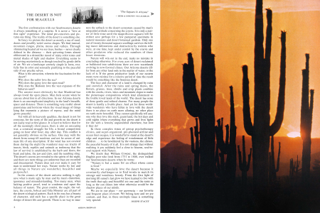 The Desert Is Not for Sea-Gulls