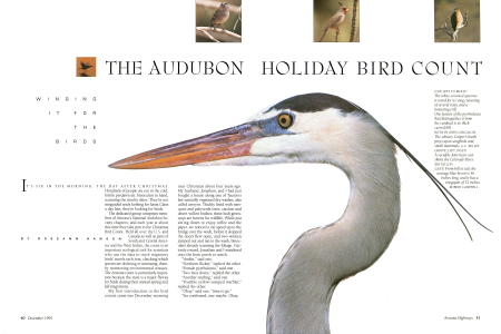 Winging It during the Holidays