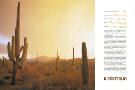 Our Greeting Card to the World