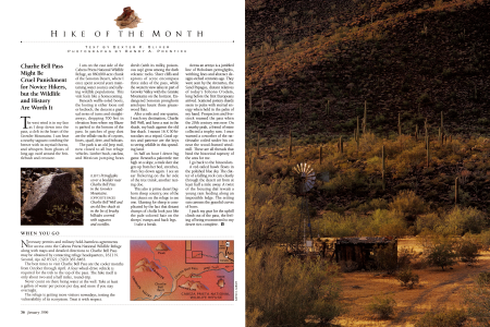 Petroglyphs cover a boulder near Charlie Bell Pass in the Growler Mountains.