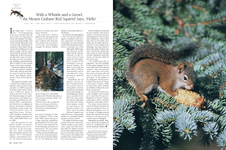 Meet the Most Famous Squirrel in the World